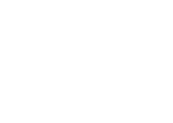 Bogg Bag